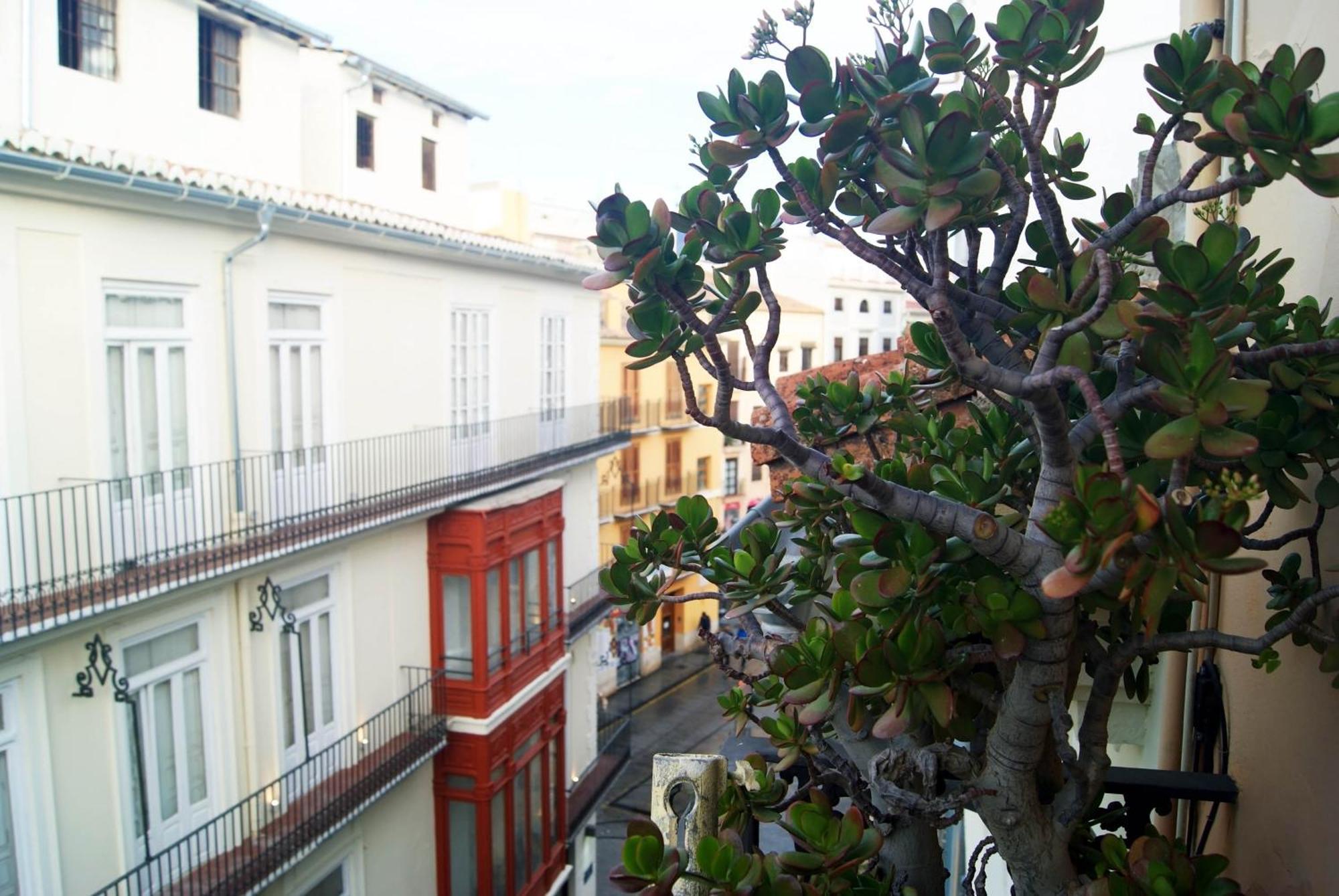 Bolseria Centricos Apartamentos En El Carmen Valencia Bagian luar foto
